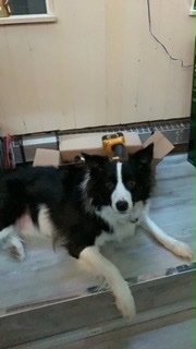 35336F8B-C29C-4D07-B0D3-DF596226580E.jpeg