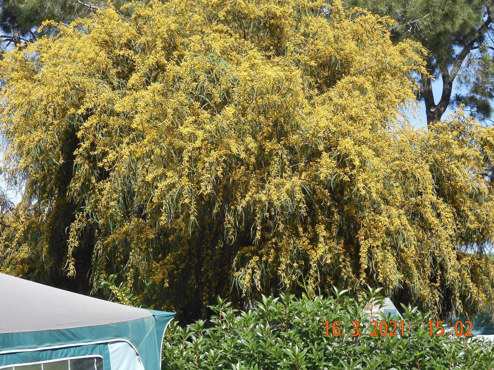 DSCN1766_p.jpg