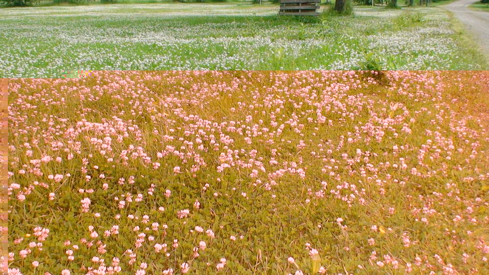 DSC02117.JPG