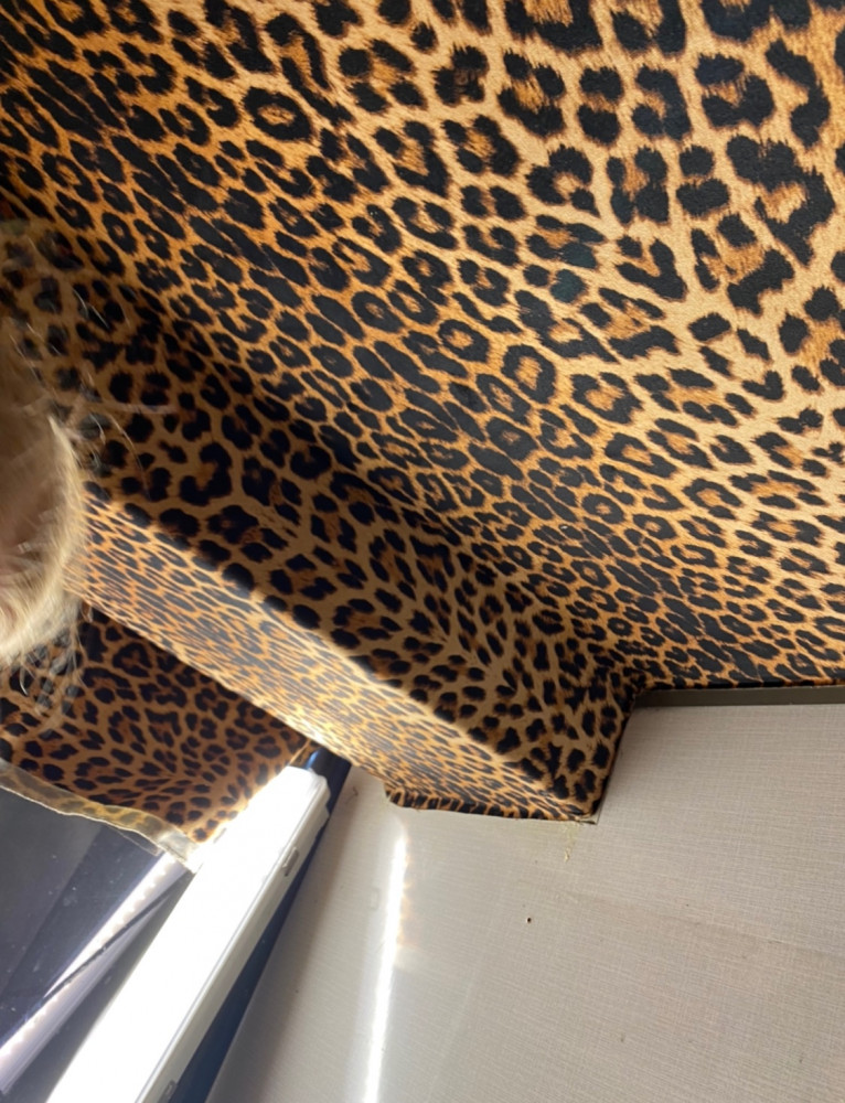 FAE2C89D-A122-4997-91DF-4E3C260CE8DF.jpeg