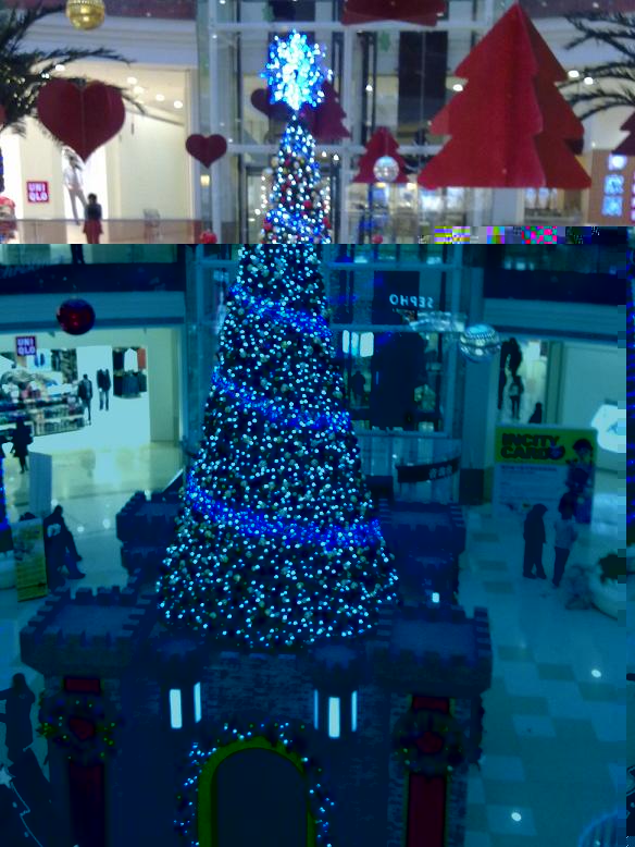 18122010021.jpg