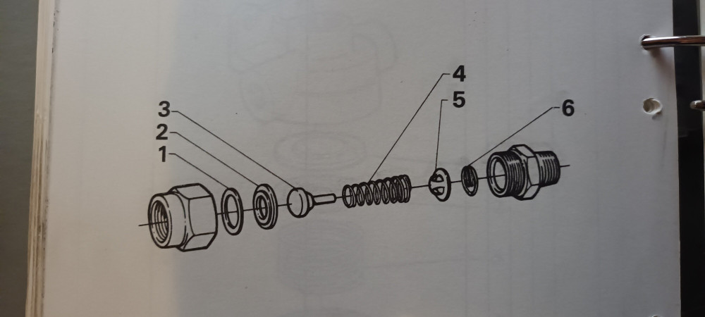 20241001_215907.jpg