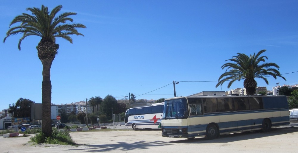 Lagos palmun alla.jpg