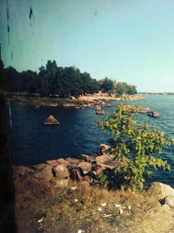 kotka.jpg