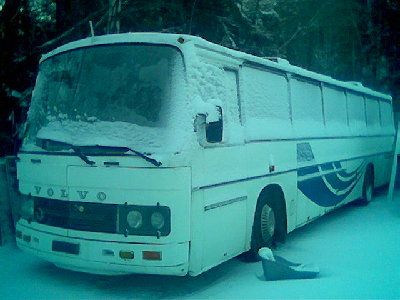 bussi nyt 11/2008