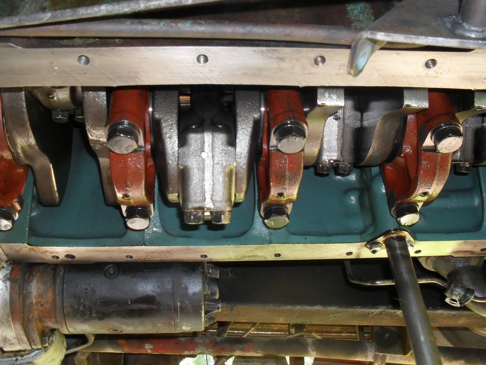 SDC14049.JPG