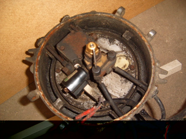 S4300205.JPG