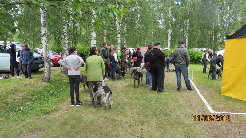 Paikalla oli myös koiranäyttely