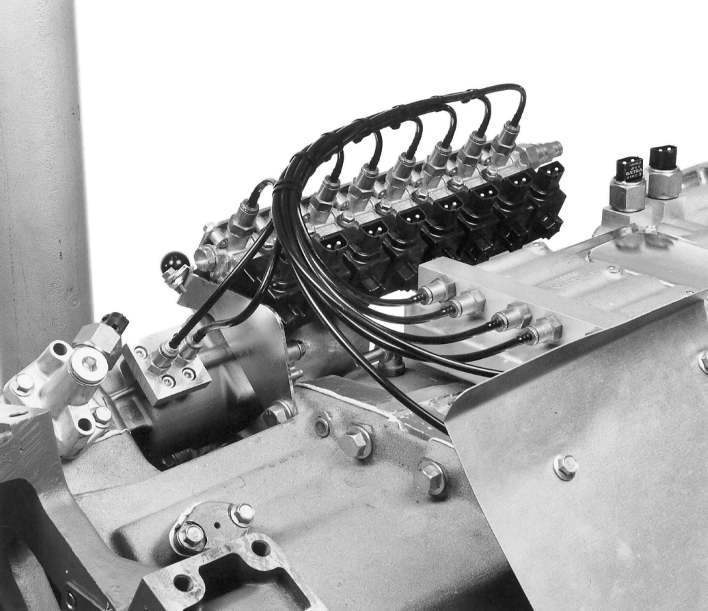T4014905.jpg