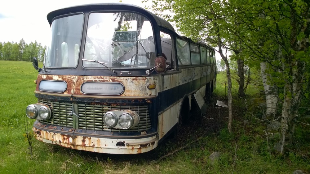 WP_20170625_003[1].jpg