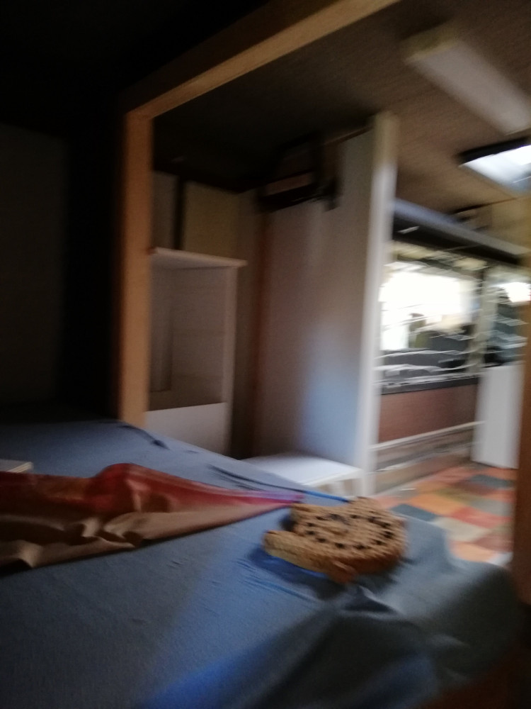 IMG_20181014_113542.jpg