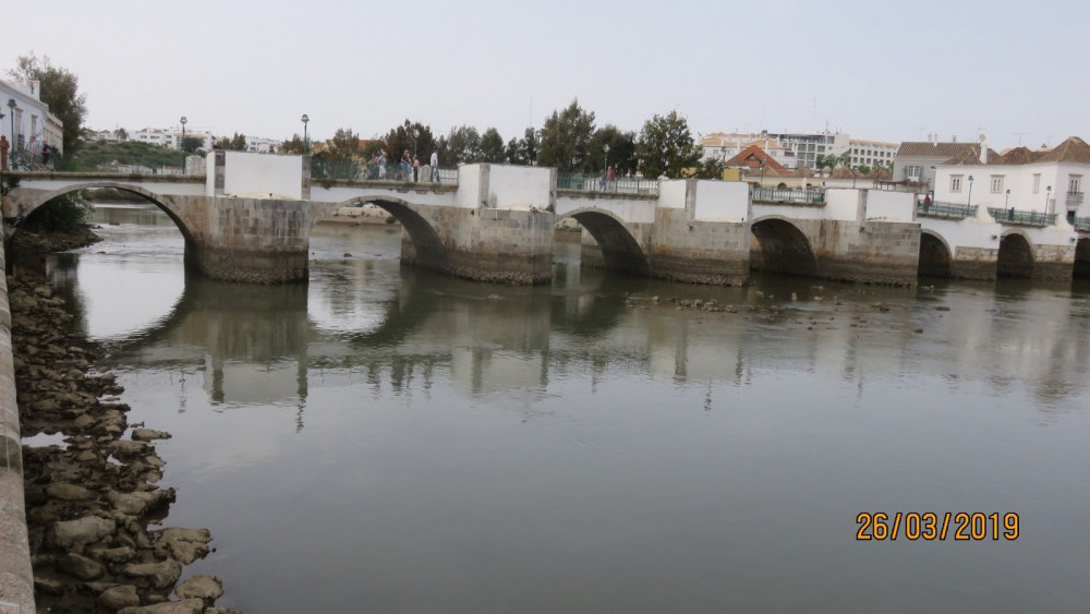 IMG_0893_p.jpg