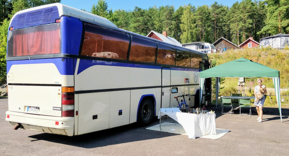 neppari padasjoki.jpg