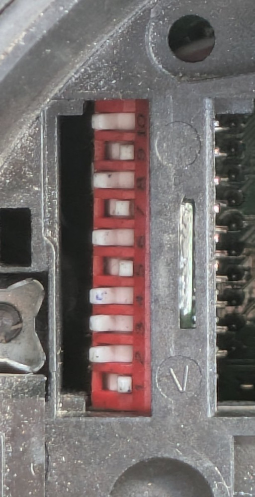 PXL_20260710_082103364.jpg