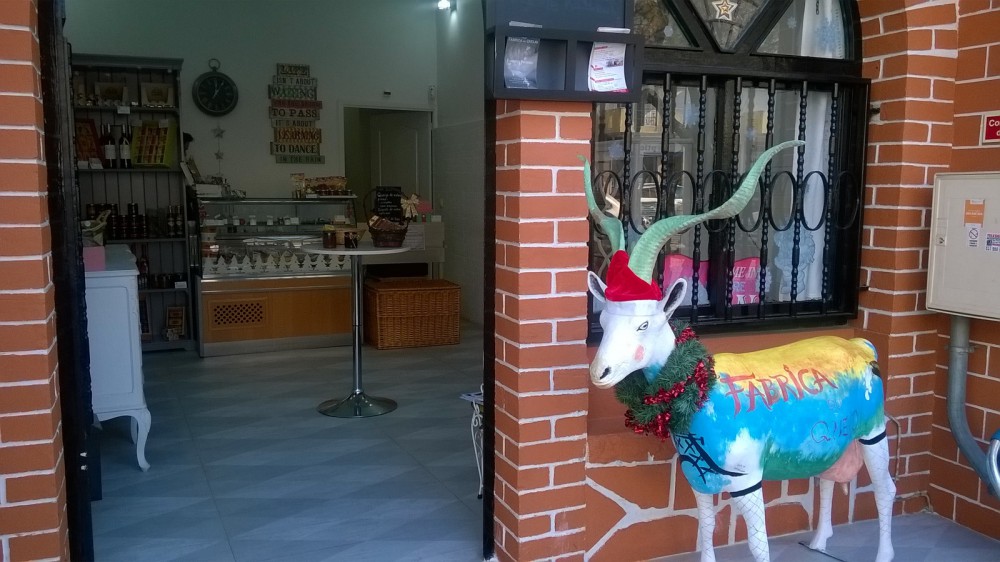 WP_20151212_001.JPG
